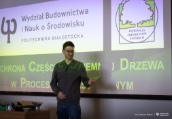 Jak chronić korzenie drzew na placu budowy?